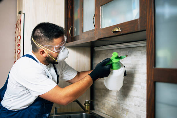 Best Wasp Removal Services  in Shiremanstown, PA