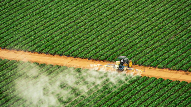 Best Affordable Exterminators  in Shiremanstown, PA