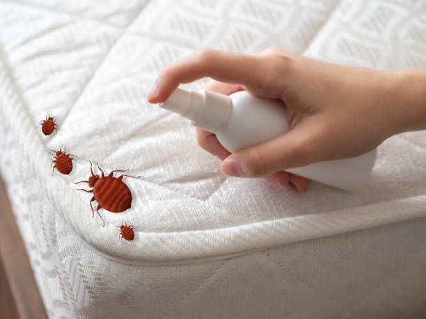 Best Residential Pest Control  in Shiremanstown, PA