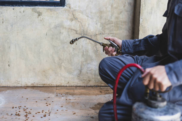 Best Flea Control Services  in Shiremanstown, PA